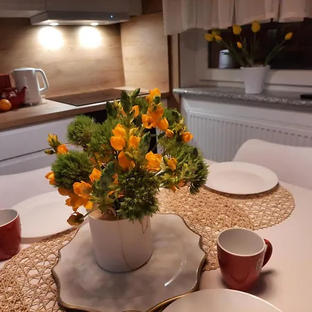 Amber Comfort Z Prywatnym Miejscem Parkingowym * Kolobrzeg