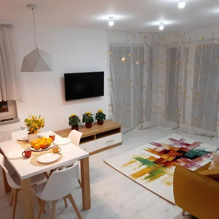 Amber Comfort Z Prywatnym Miejscem Parkingowym *